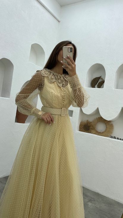 Beige Belt Detail Tulle Evening Dress