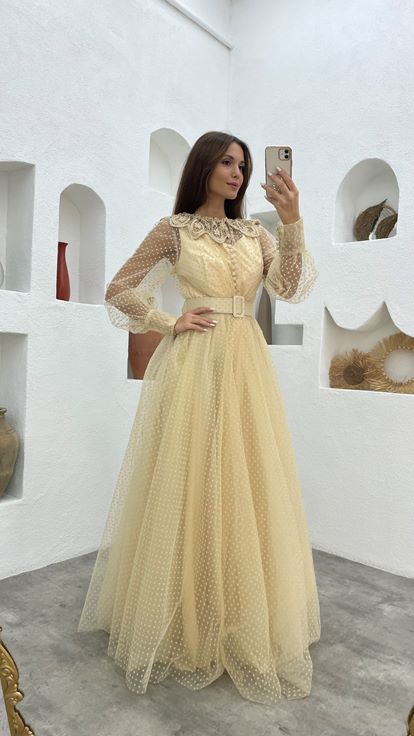 Beige Belt Detail Tulle Evening Dress