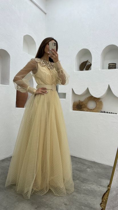 Beige Belt Detail Tulle Evening Dress