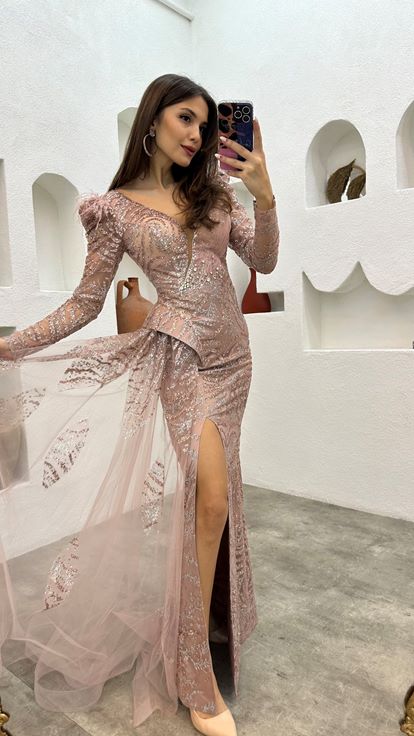 Powder Embroidered Feather Detail Design Tulle Evening Dress