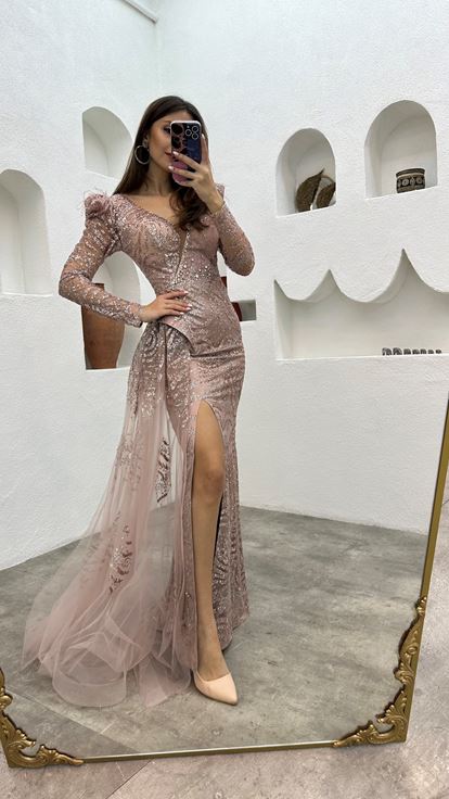 Powder Embroidered Feather Detail Design Tulle Evening Dress