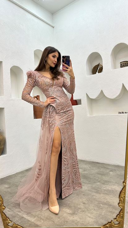 Powder Embroidered Feather Detail Design Tulle Evening Dress