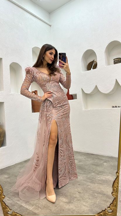 Powder Embroidered Feather Detail Design Tulle Evening Dress