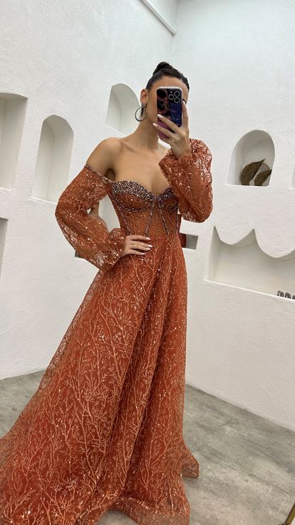 Tile Embroidery Detail Balloon Sleeve Glittery Tulle Evening Dress