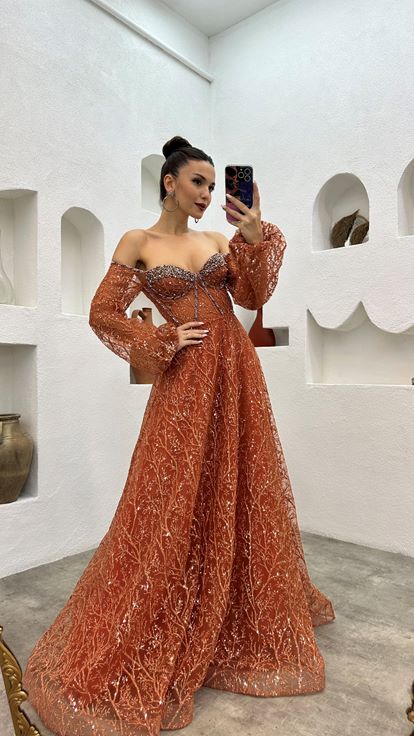 Tile Embroidery Detail Balloon Sleeve Glittery Tulle Evening Dress