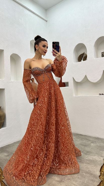 Tile Embroidery Detail Balloon Sleeve Glittery Tulle Evening Dress