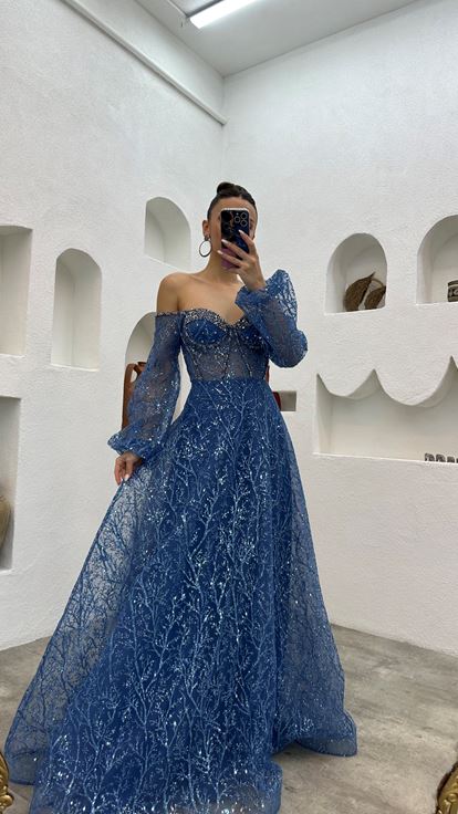 Indigo Embroidery Detail Balloon Sleeve Glittery Tulle Evening Dress