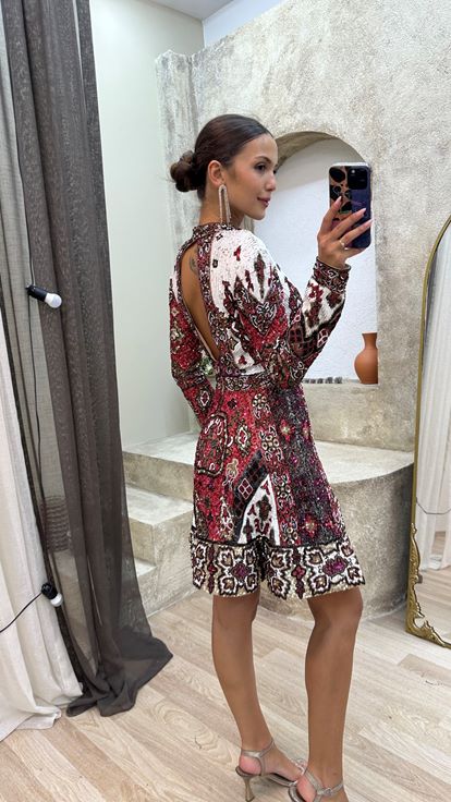 Red V Neck Back Detail Special Hand Embroidered Mini Dress