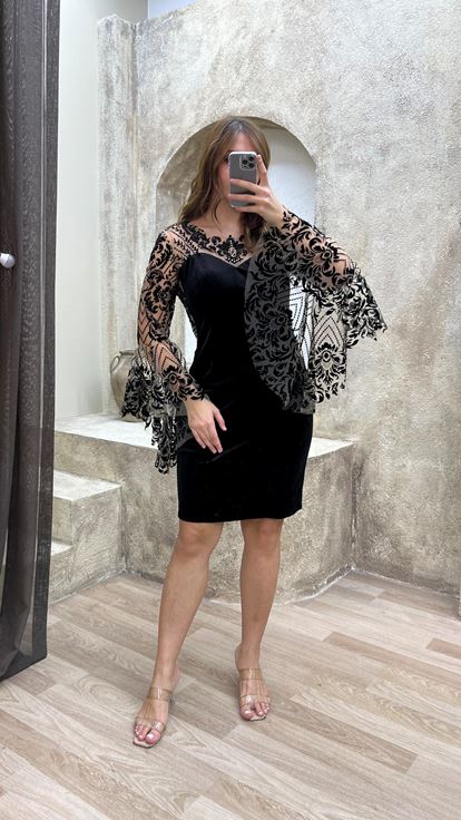 Black Flog Detailed Embroidered Design Plus Size Evening Dress