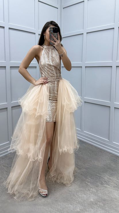 Beige Shoulder Detail Sequin Embroidered Layered Design Tulle Dress