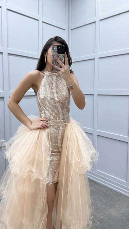Beige Shoulder Detail Sequin Embroidered Layered Design Tulle Dress