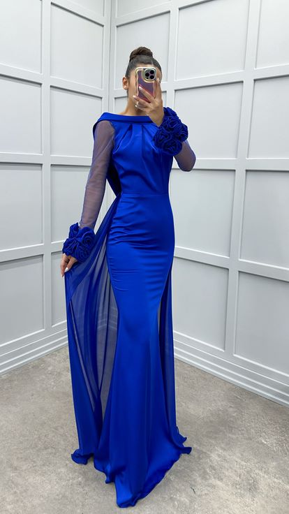 Saks Chest Detail Sleeves Transparent Evening Dress