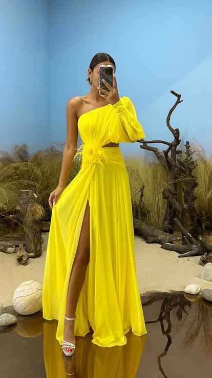 Yellow Single Sleeve Waist Sheer Flower Detail Evening Dress