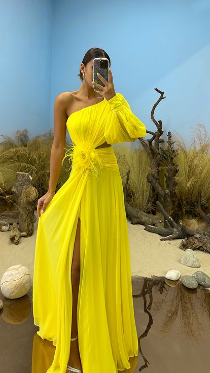 Yellow Single Sleeve Waist Sheer Flower Detail Evening Dress