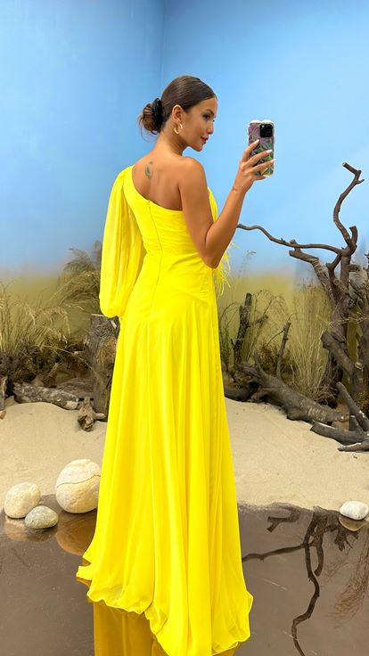Yellow Single Sleeve Waist Sheer Flower Detail Evening Dress