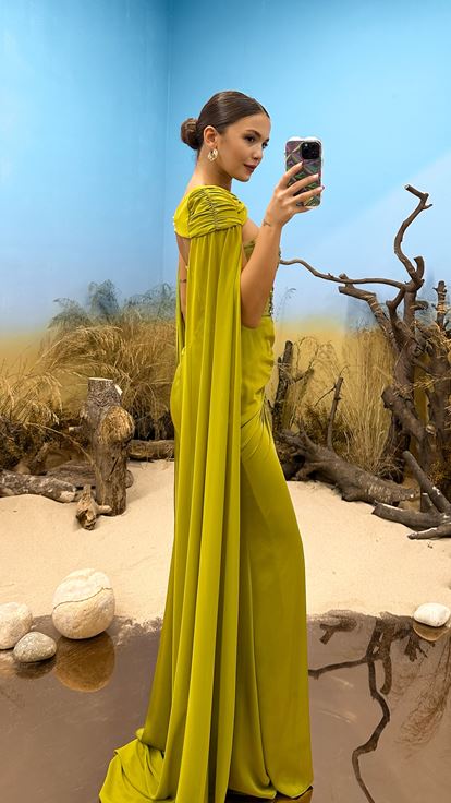 Green Chest Stone Detail Design Evening Dress