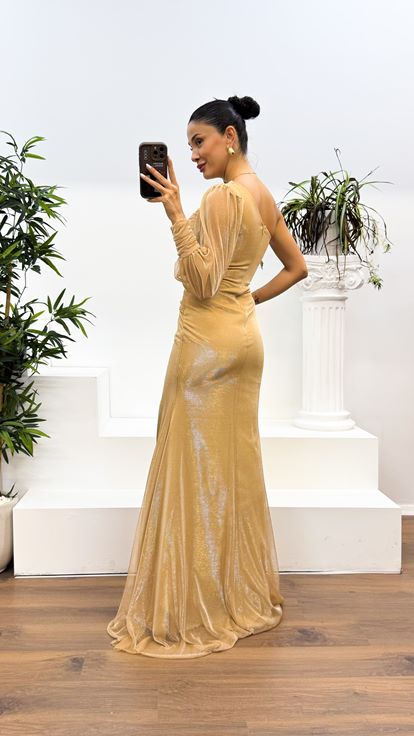 Gold Single Sleeve Silvery Tulle Evening Dress