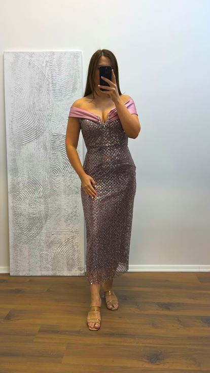 Robe de soirée brodée sans bretelles en poudre, grande taille