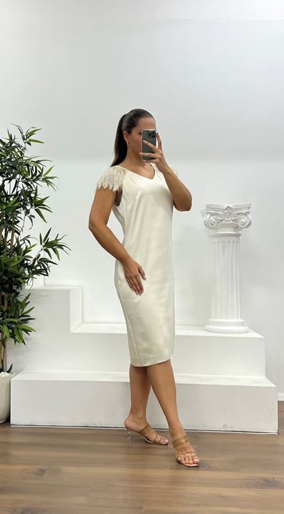 Ekru İşleme Detay Saten Büyük Beden Abiye Elbise