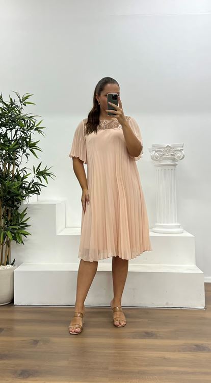 Salmon Pleated Chiffon Plus Size Evening Dress