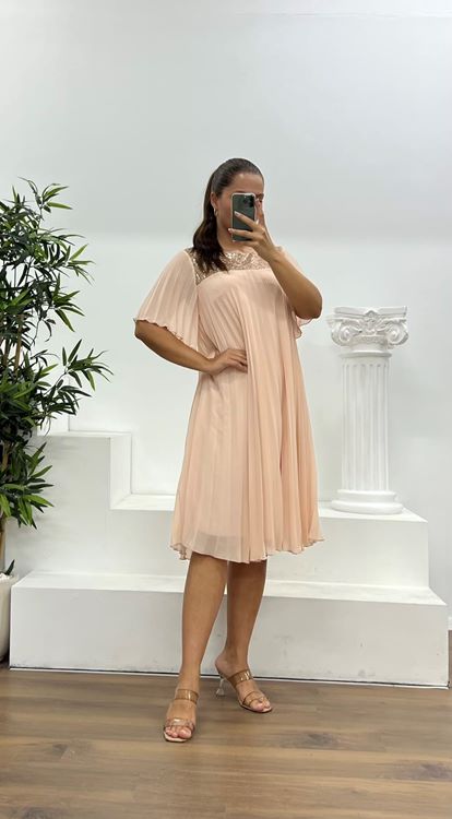 Salmon Pleated Chiffon Plus Size Evening Dress