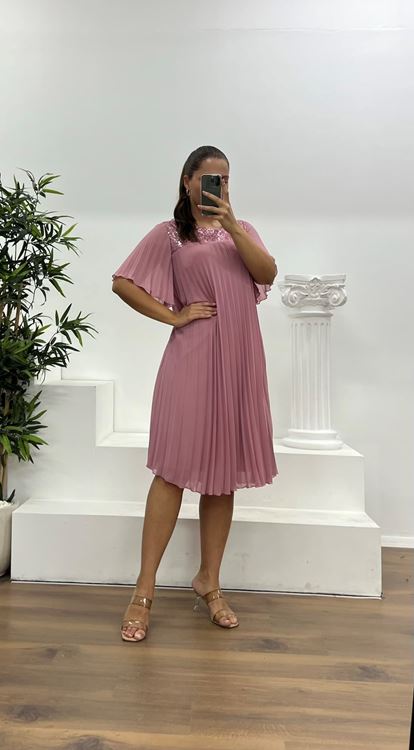 Powder Pleated Chiffon Plus Size Evening Dress