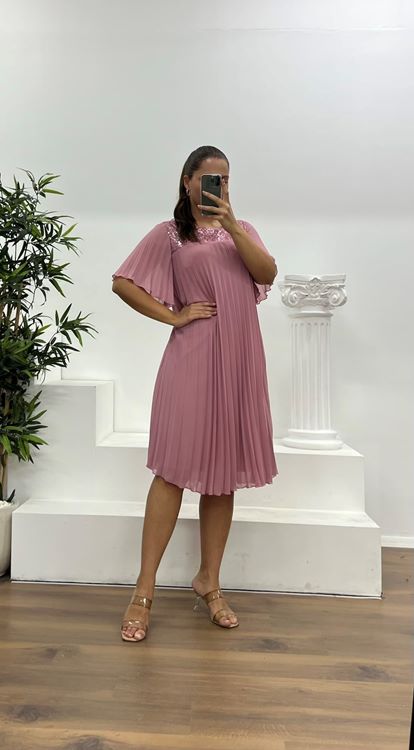 Powder Pleated Chiffon Plus Size Evening Dress