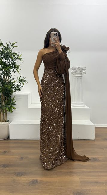 Coffee colored One Sleeve Embroidered Detail Evening Dress