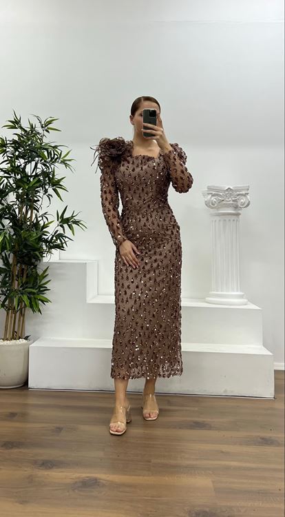 Bakır İşlemeli Büyük Beden Abiye Elbise