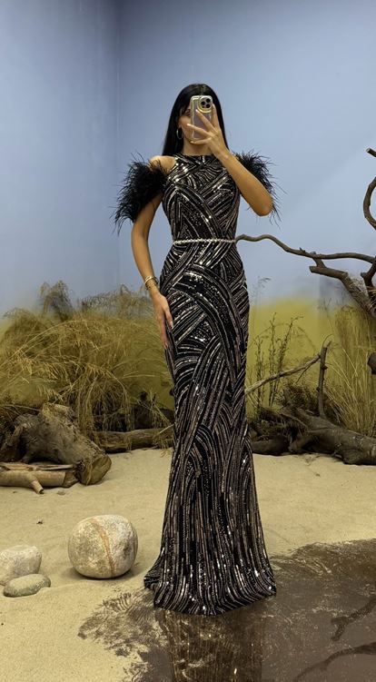 Siyah Tüy Detay İşlemeli Abiye Elbise