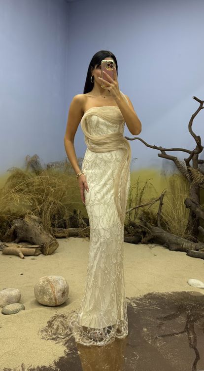 Ekru İşlemeli Şerit Detaylı Uzun Abiye Elbise