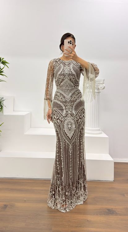 Vizon Kolları Saçaklı İşlemeli Abiye Elbise